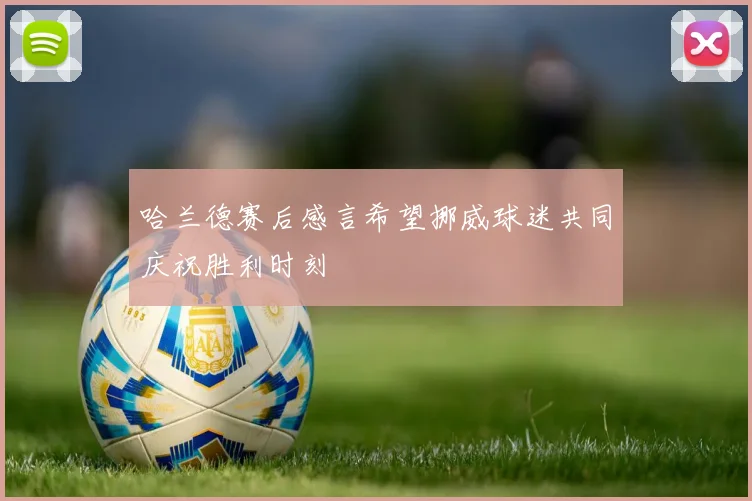 哈兰德赛后感言希望挪威球迷共同庆祝胜利时刻