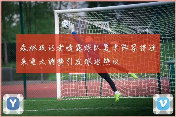 森林狼记者透露球队夏季阵容将迎来重大调整引发球迷热议
